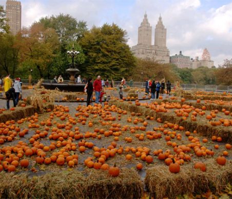 Join Luxury Travel Mom and Keaton for Pumpkin Painting in New York City
